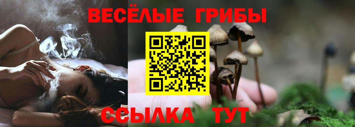 Псилоцибиновые грибы MAGIC MUSHROOMS  Вход с VPN  Качканар 